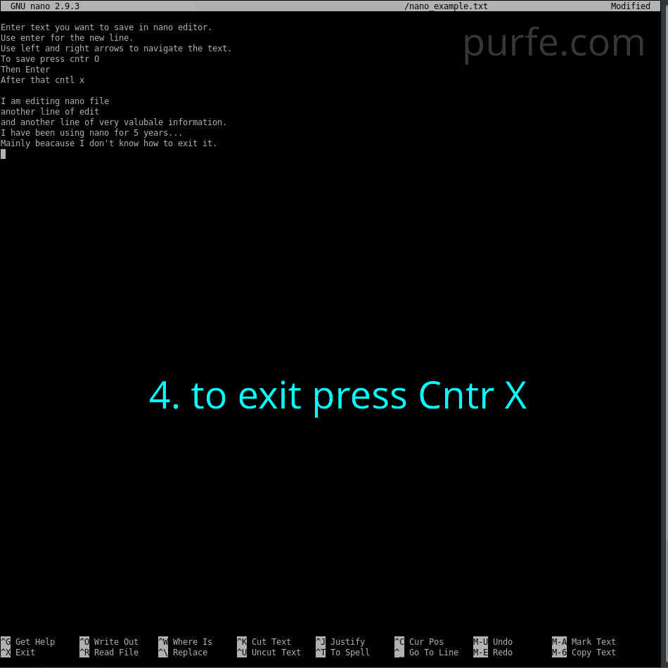 Step 4. To exit nano press Cntr X